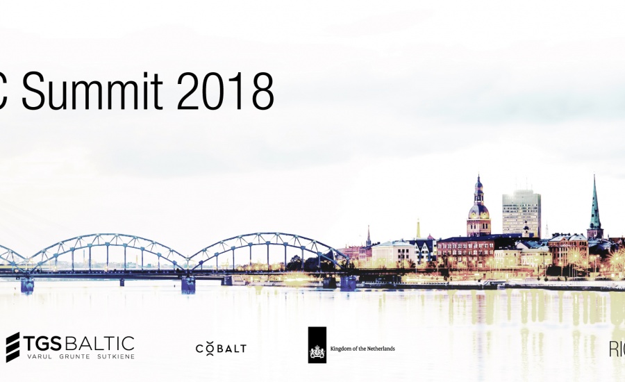 Baltic VC Summit Startup and Investor Matchmaking event